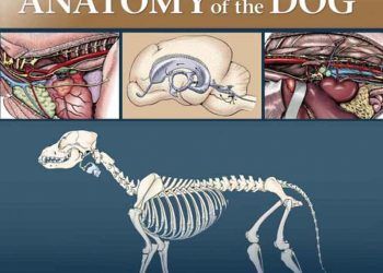 Miller 'in Köpek Anatomi Atlası