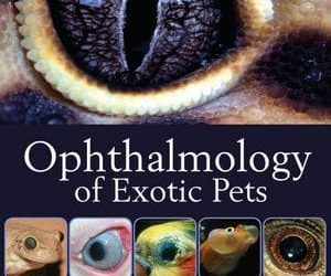 Egzotik Evcil Hayvanlarda Oftalmoloji