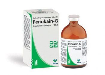 Penokain-G