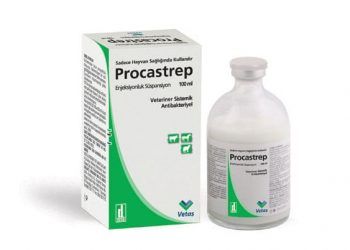 Procastrep