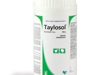 Taylosol