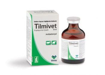 Tilmivet