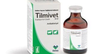 Tilmivet