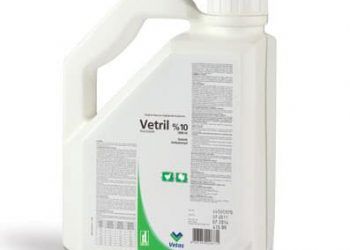 Vetril %10 Oral Çözelti