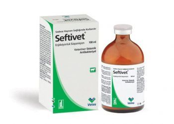 Seftivet