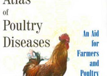 Tavuk Hastalıklarının Renk Atlası