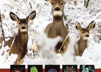 Vahşi Yaşamdan İnsan Hastalıkları