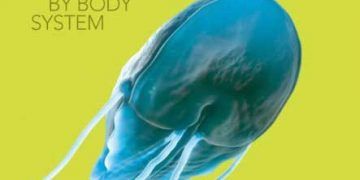 Vücut Sistemine Bağlı Hastalıkların Mikrobiyoloji