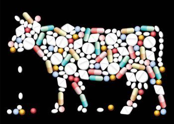 ABD Çiftlikte Antibiyotik Kullanımı