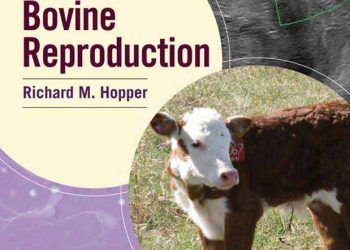 Sığırlarda Üreme