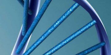 Diklofenak Sodyumun (Lafenac) Antibakteriyel Etkinliği