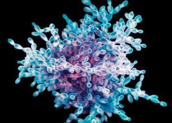 Mikrobiyolojinin İlkeleri ve İncelemeleri