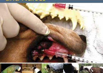 Veteriner Teknisyenleri ve Hemşireler Ağrı Yönetimi