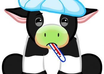 Hayvanınız Hasta ya da Sağlıklı mı? Yeşil Işık Söyleyecek.