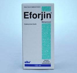 Eforjin