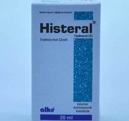 Histeral