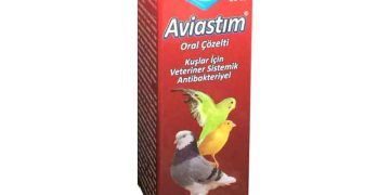 Aviastım