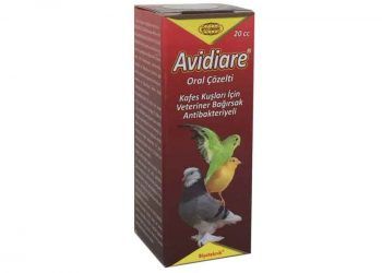 Avidiare