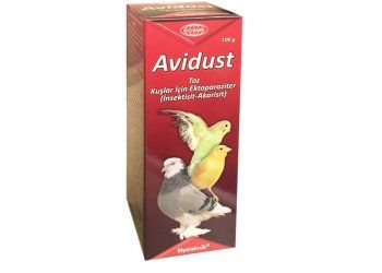 Avidust
