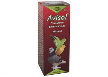 Avisol