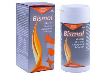 Bismol