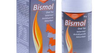 Bismol