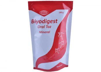 Biyodigest