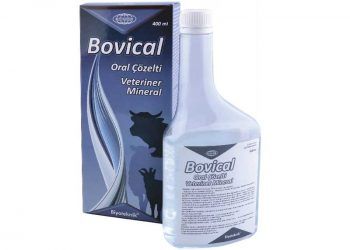 Bovical