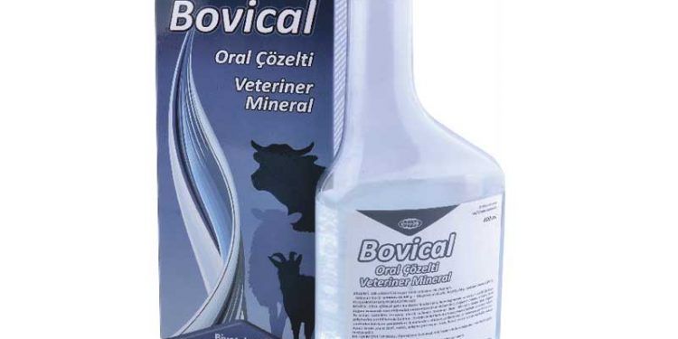 Bovical