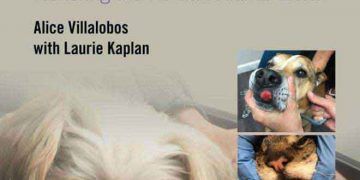 Köpek ve Kedi Geriatrik Onkoloji