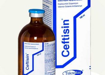 Ceftisin