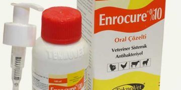 Enrocure %10 Oral
