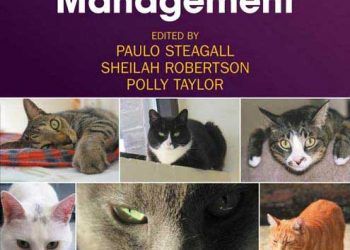 Kedilerde Anestezi ve Ağrı Yönetimi