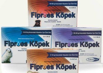 Fiproes Köpek