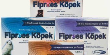 Fiproes Köpek