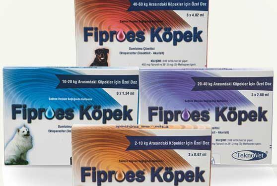 Fiproes Köpek