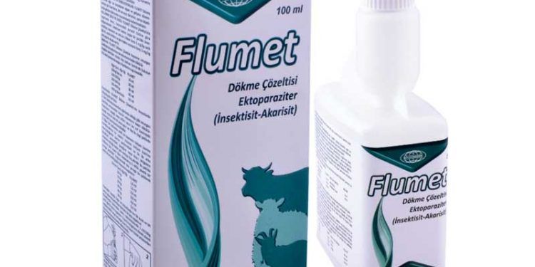 Flumet