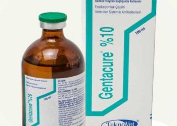 Gentacure %10