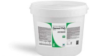 Geosol Fish