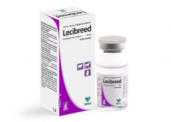 Lecibreed
