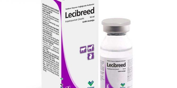 Lecibreed