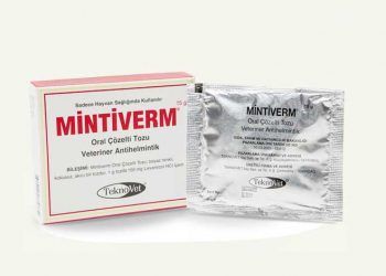 Mintiverm