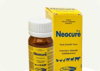 Neocure
