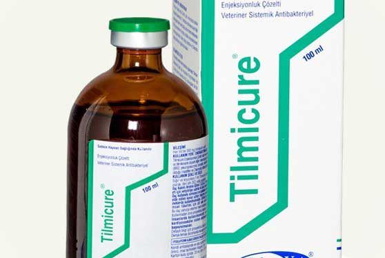 Tilmicure