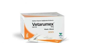 Vetarumex