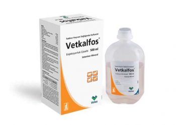 Vetkalfos