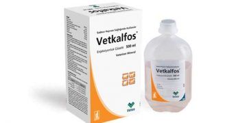 Vetkalfos