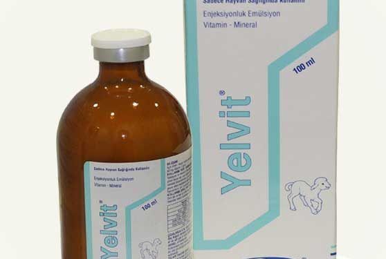 Yelvit