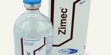 Zimec