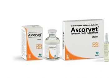 Ascorvet